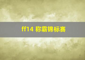 ff14 称霸锦标赛